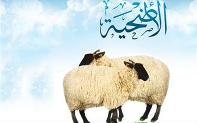 مشروع الأضاحي